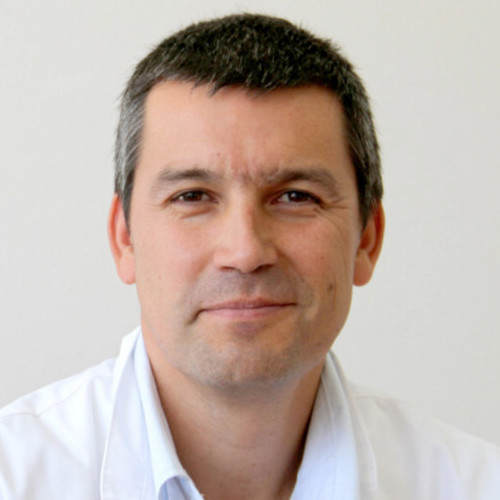 Dr. Fernando Marchant